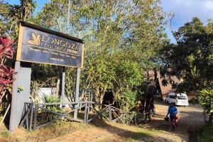 Longoza Ecolodge