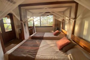 LE SOLEIL DES TSINGY